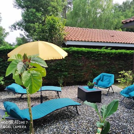 Chalet Camping Les Vignes Lit-et-Mixe Εξωτερικό φωτογραφία