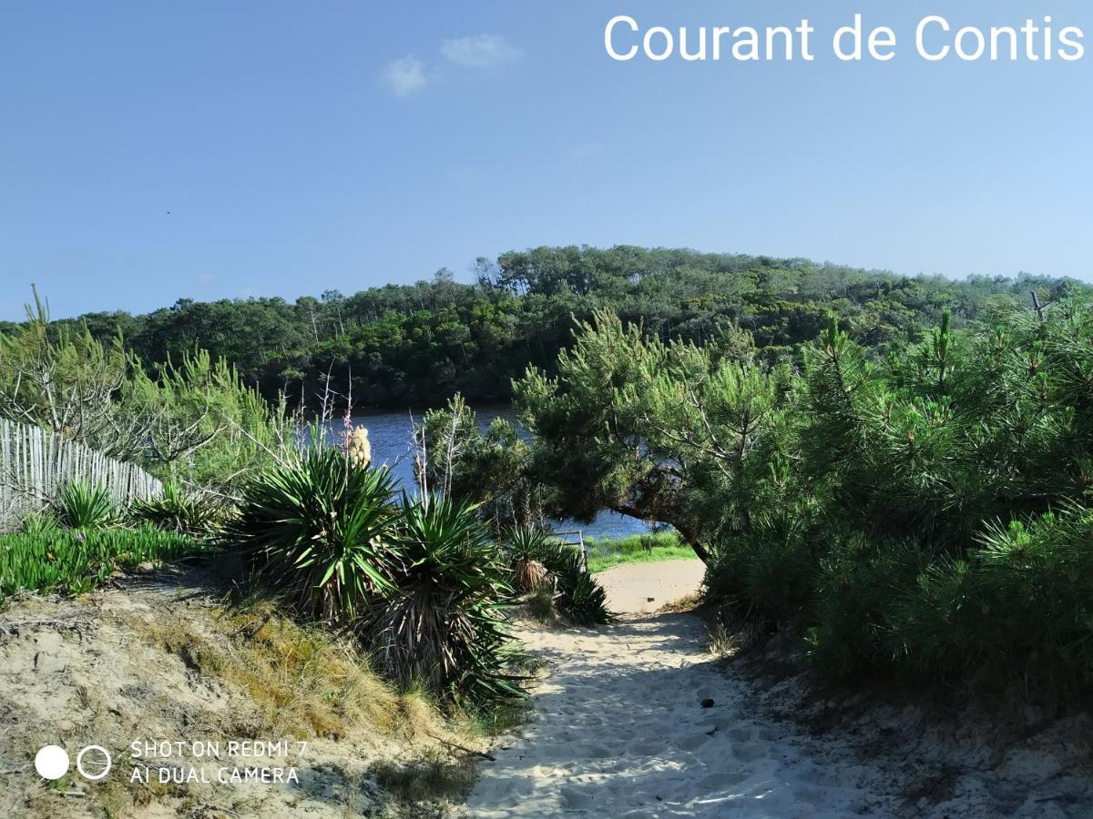 Chalet Camping Les Vignes Lit-et-Mixe Εξωτερικό φωτογραφία